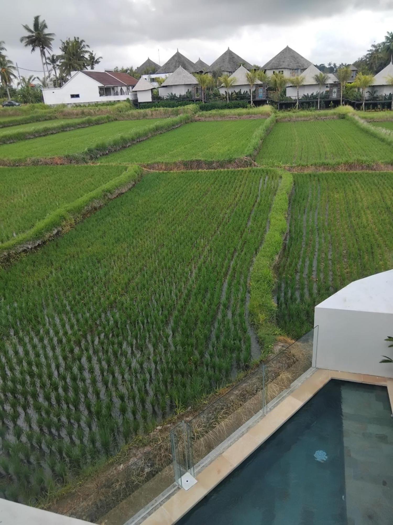 Sujiwa Ubud Hotel & Villa 외부 사진